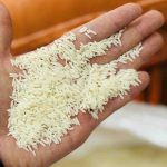 دم سیاه گیلان اعلا