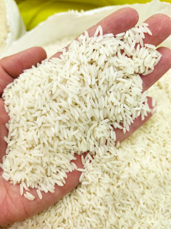 شیرودی ممتاز گیلان 200kg - تصویر 2
