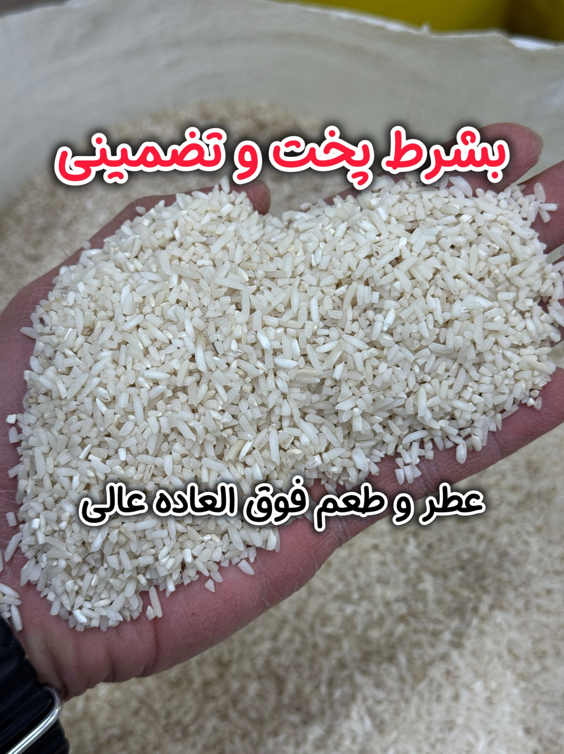 برنج دم لول هاشمی (سرلاشه دُرشت)فوق ممتازگیلان 10k - تصویر 2