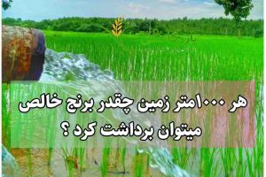 1000متر زمین
