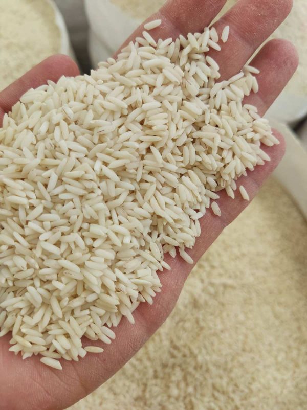 علی کاظمی فوق ممتاز 50kg - تصویر 2