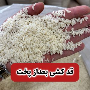 Alternative view of برنج هاشمی فوق ممتاز گیلان 5k