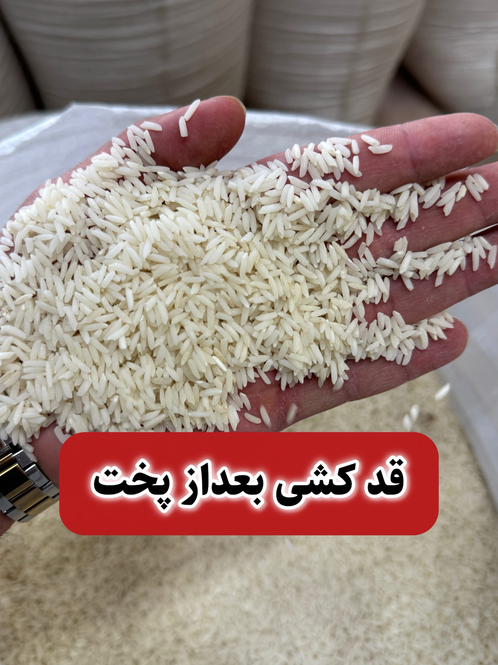 برنج هاشمی فوق ممتازگیلان 3k - تصویر 3