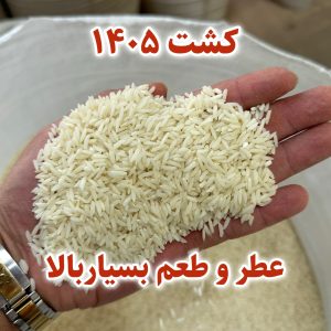 Alternative view of برنج هاشمی فوق ممتازگیلان 3k