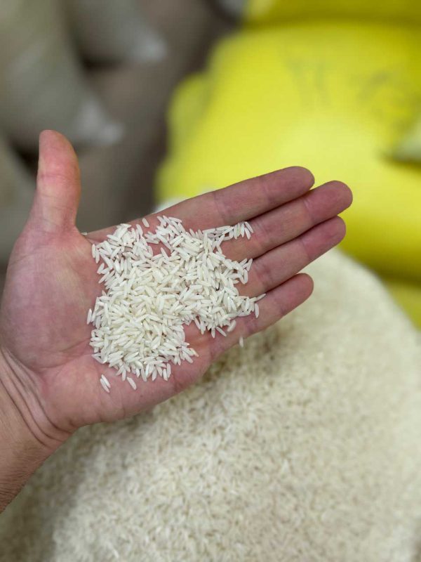 هاشمی فوق ممتاز گیلان200kg - تصویر 3