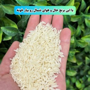 Alternative view of برنج هاشمی دودی هیزمی محلی گیلان  5k