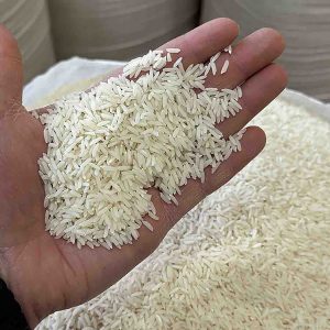 Alternative view of هاشمی صدری گیلان 10kg