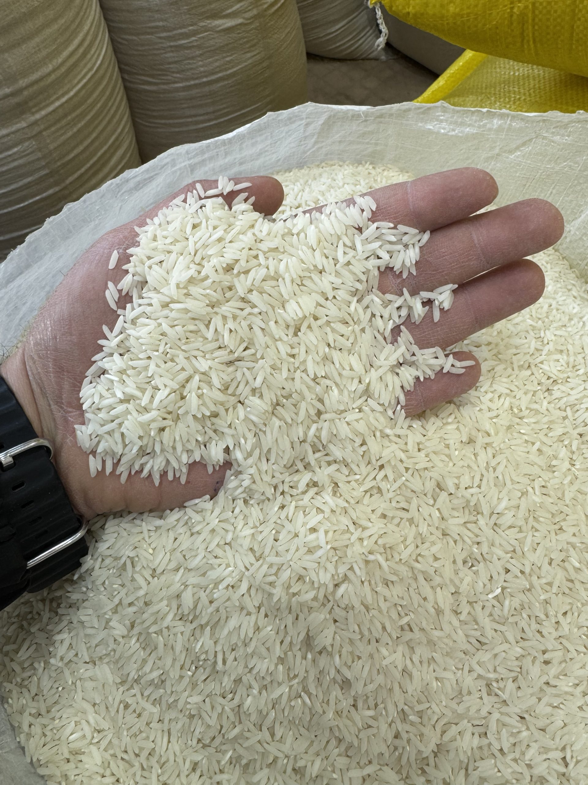 هاشمی فوق ممتاز گیلان200kg - تصویر 2