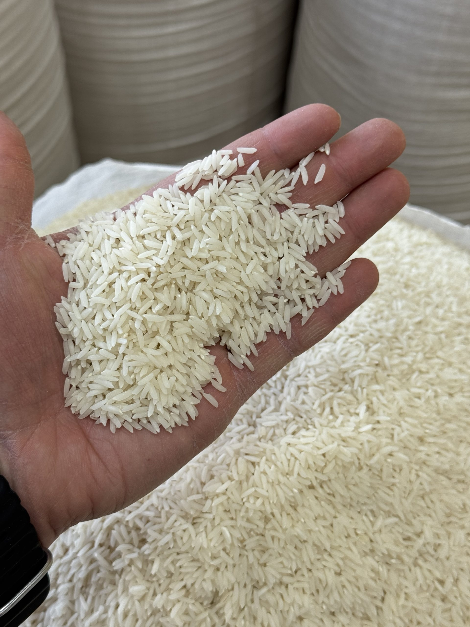 هاشمی فوق ممتاز گیلان200kg - تصویر 3