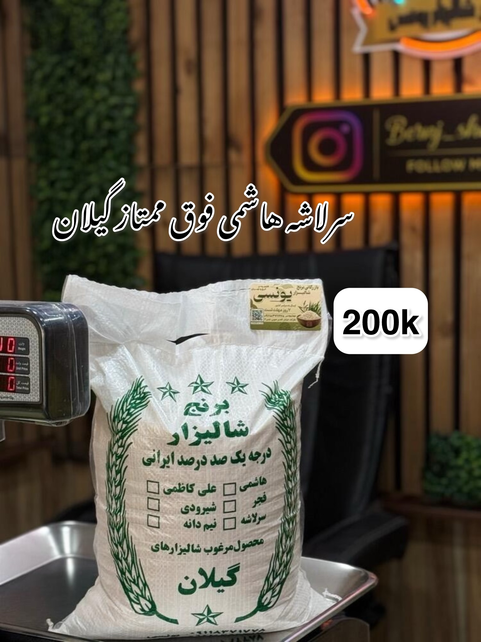سرلاشه هاشمی فوق ممتاز گیلان 200k