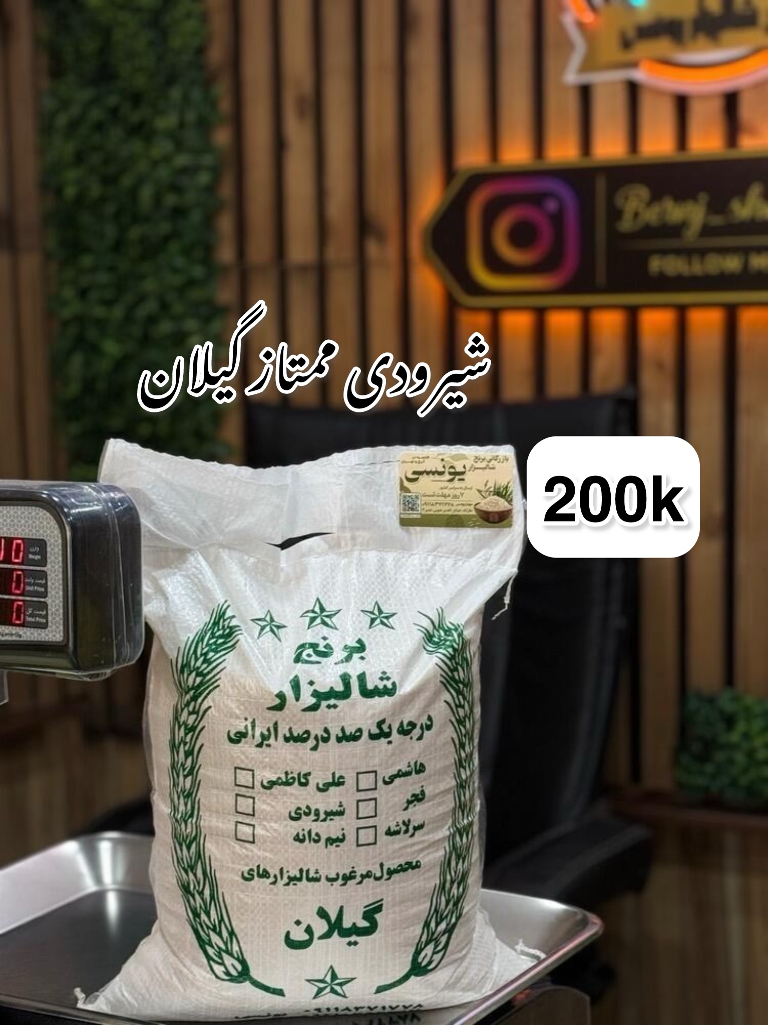 شیرودی ممتاز گیلان 200kg