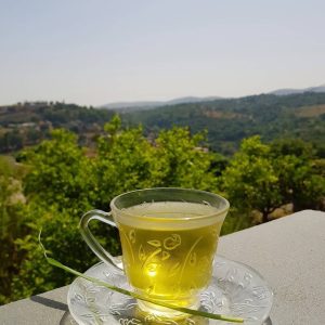 سبز 03