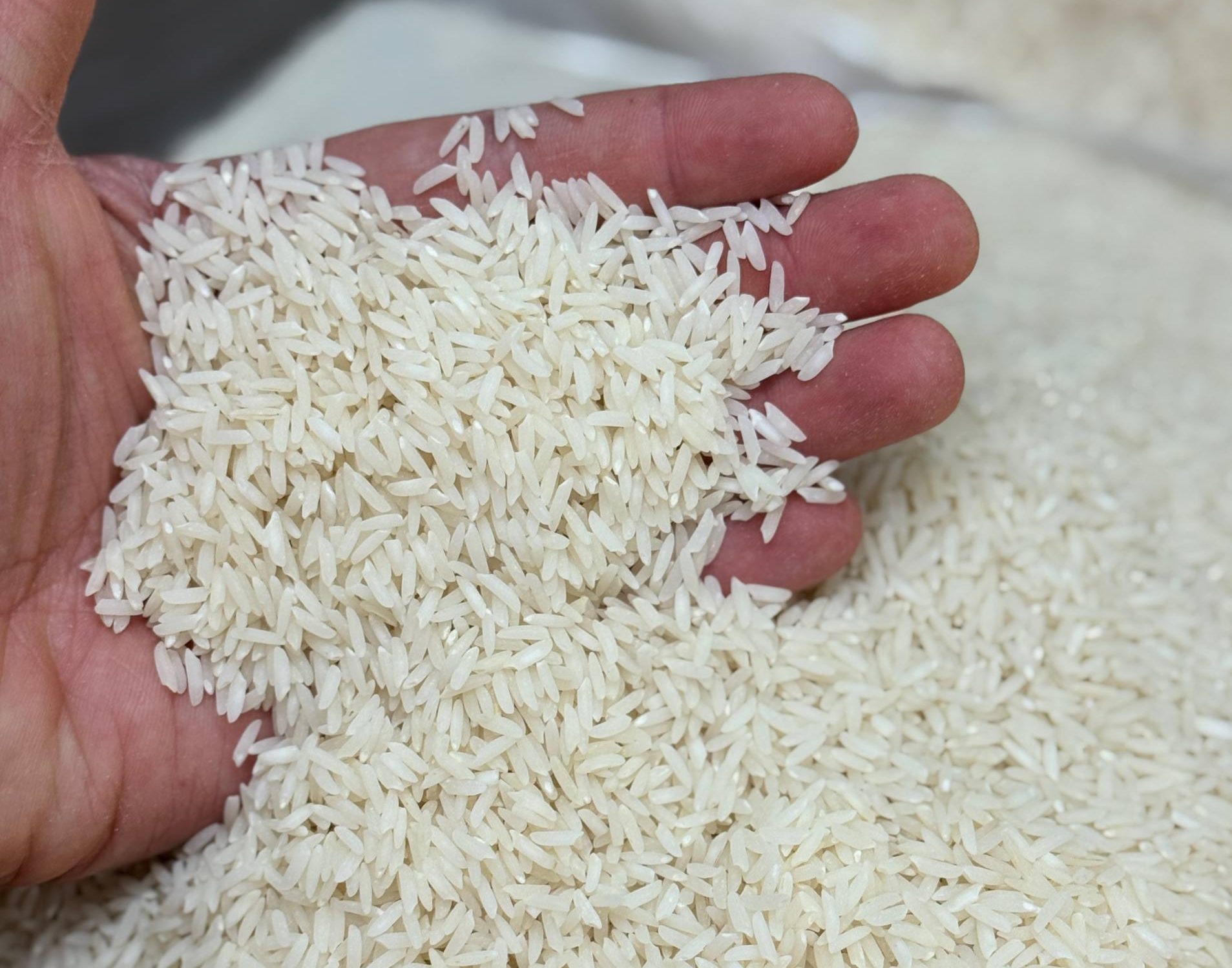 برنج هاشمی فوق ممتاز