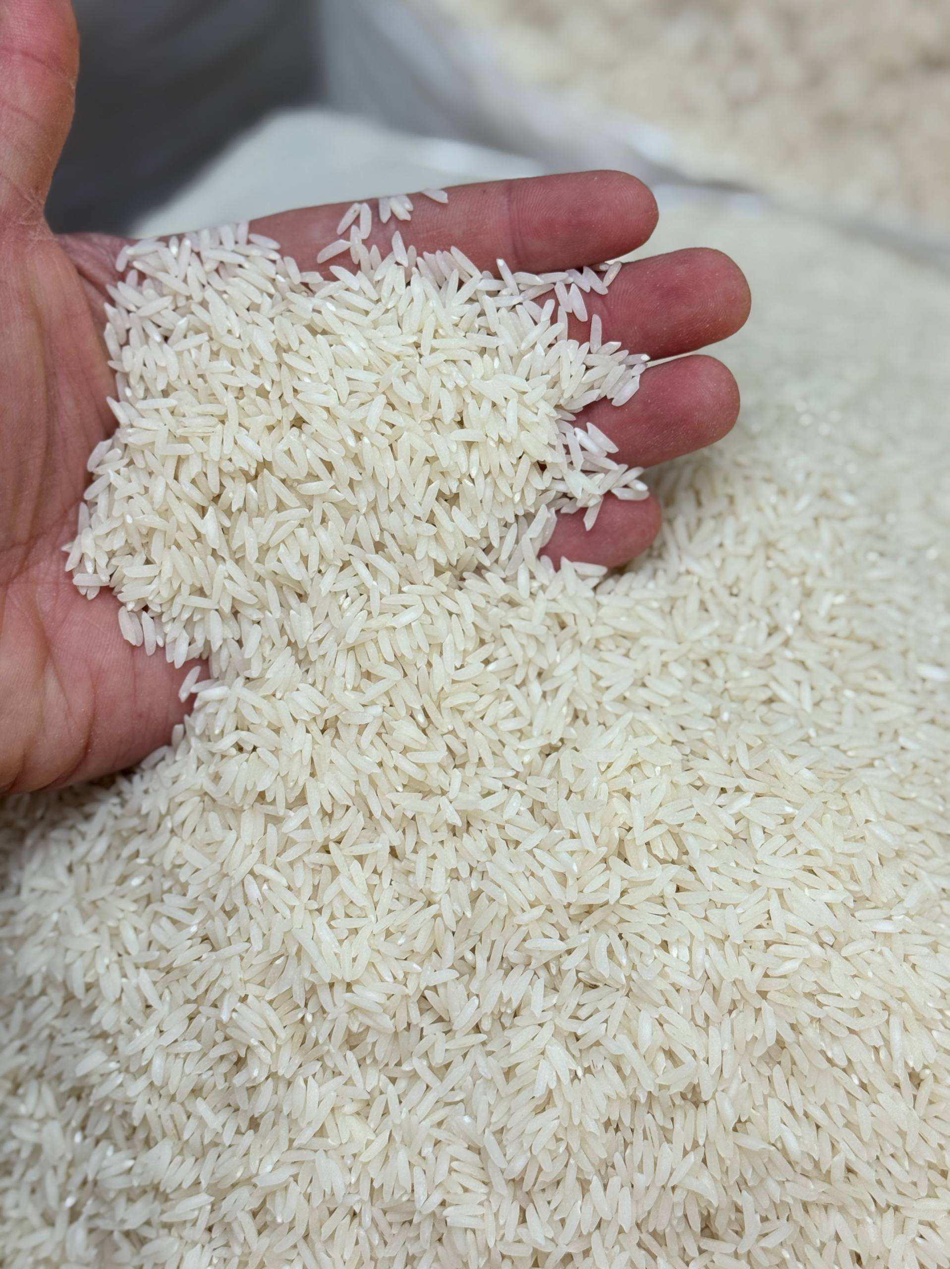 برنج هاشمی فوق ممتاز