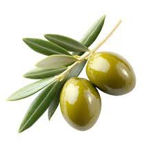 روغن زیتون (ارگانیک)