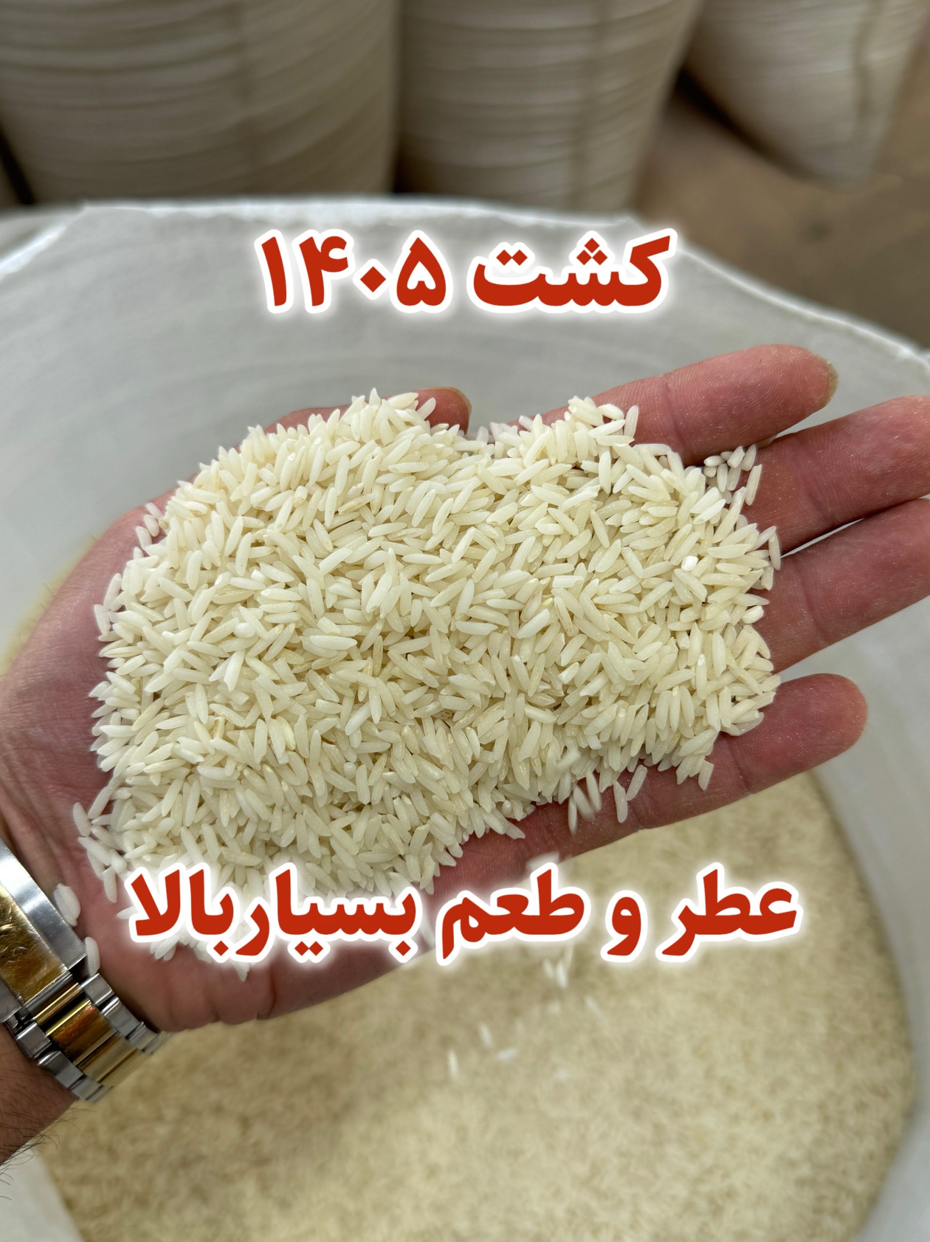 برنج هاشمی فوق ممتاز گیلان 1تن - تصویر 3