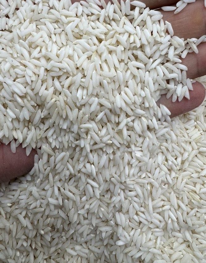 علی کاظمی ممتازگیلان در رشت