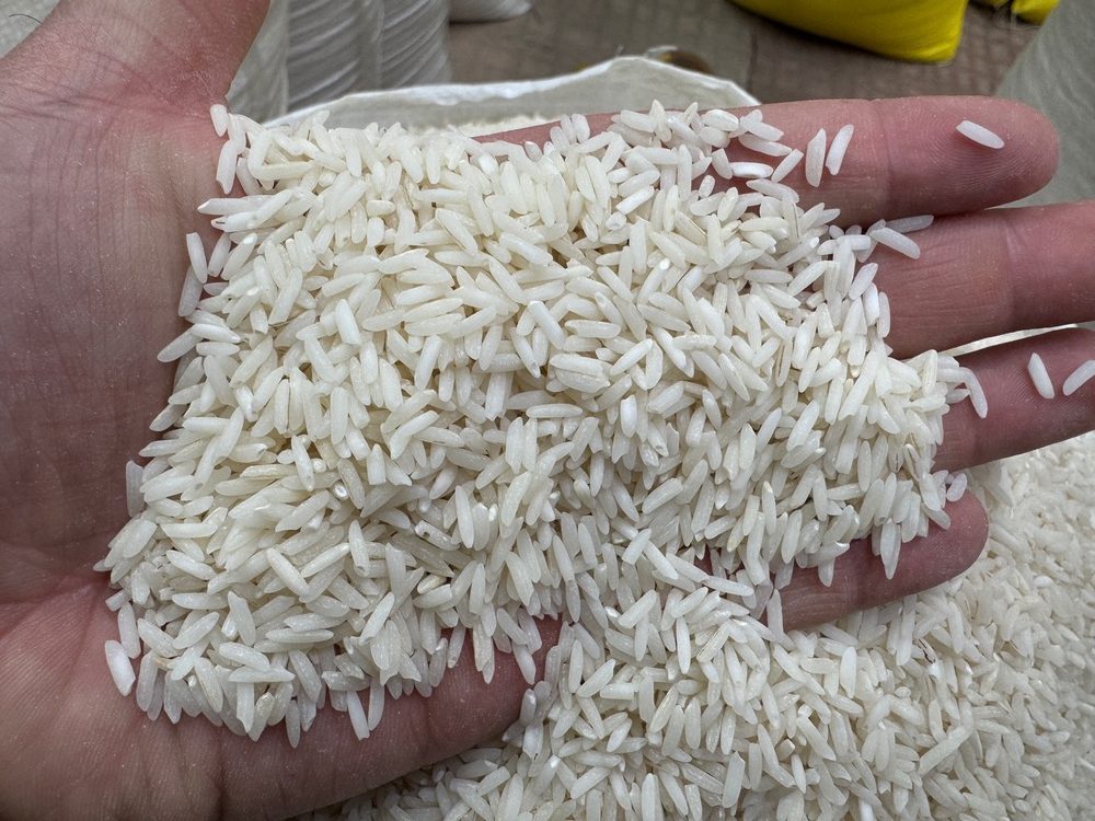 هاشمی فوق اعلا