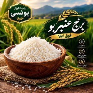 عنبربو شمال کوب